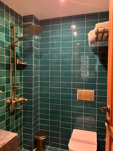 تصویر 14 - هتل سنتی ماه گیسو (گیسو) در شیراز