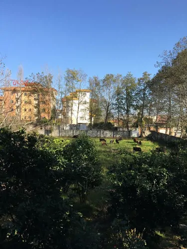 تصویر 19 - ویلا  باغ نیکوکار در  چالوس