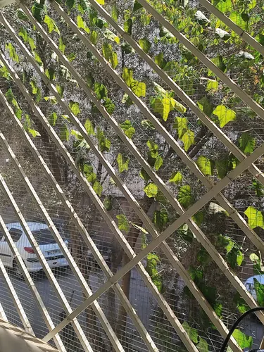 تصویر 6 - آپارتمان مبله شکوهی در سبلان در  تهران