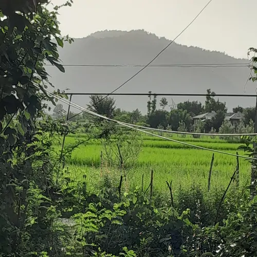 تصویر 8 - ویلا باغ عباسی  در  ماسال