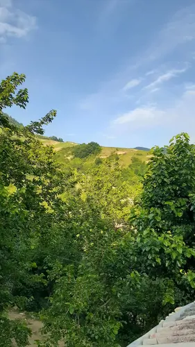 تصویر 4 - ویلا ویلا جنگلی وکوهستانی گل سرخ در علی آباد کتول
