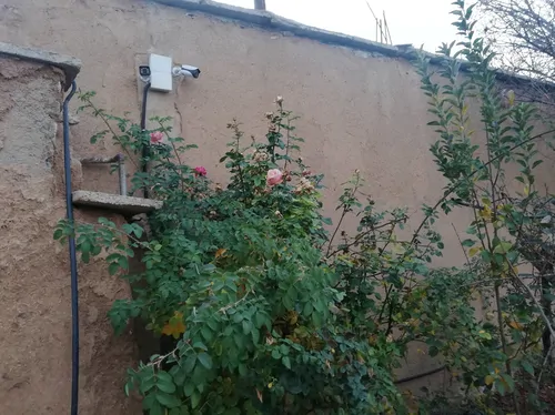 تصویر 16 - ویلا خانه باغ حسینی منش در  یاسوج