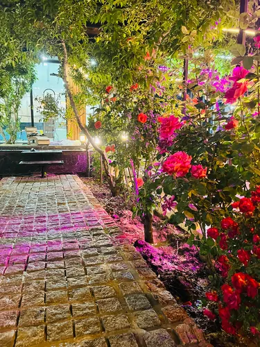 تصویر 32 - ویلا استخردار آبگرم ژوپیتر با ایرهاکی در سهیلیه