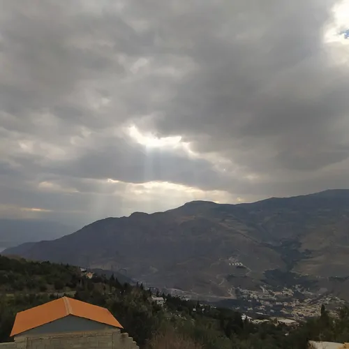 تصویر 2 - اقامتگاه بوم‌گردی تک درخت در رودبار