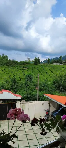 تصویر 3 - ویلا ویلا جنگلی ۳خواب جکوزی دار در فومن