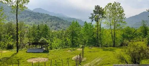 تصویر 9 - ویلا سامی  در  قلعه‌رودخان 