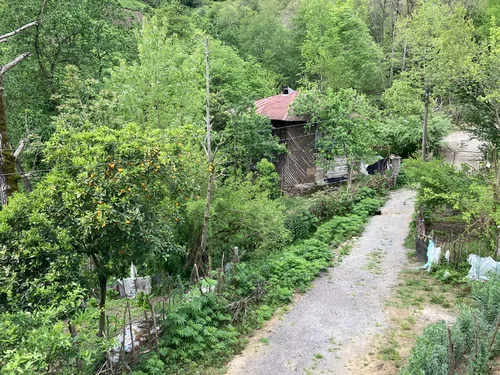تصویر 17 - روستایی و عشایری گيلاوا (2) با صبحانه رایگان در املش
