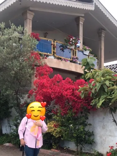 تصویر 2 - ویلا سرای پودی در رامسر