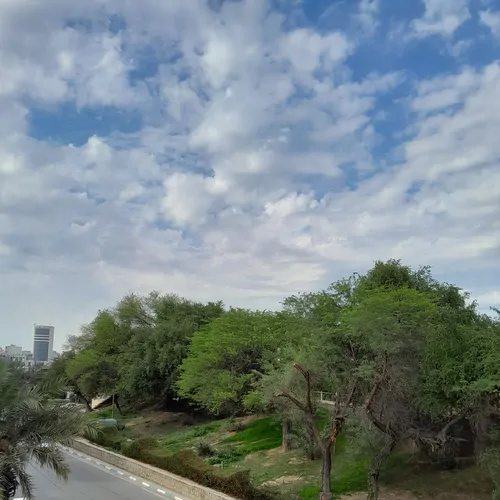 تصویر 24 - آپارتمان مبله ساحل کارون  در  اهواز
