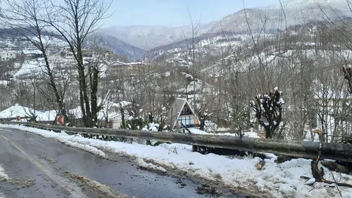 تصویر 17 - کلبه چوبی ساحل گیشم در  شفت