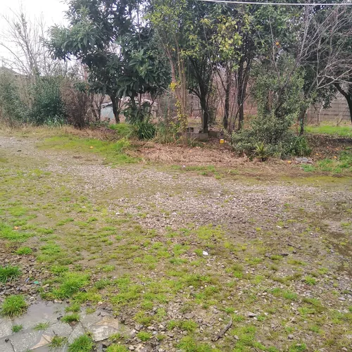 تصویر 16 - روستایی و عشایری باغ  فلاحت  در  صومعه‌سرا