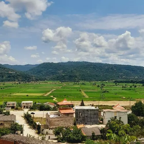 تصویر 2 - ویلا نارنجستان در ساری