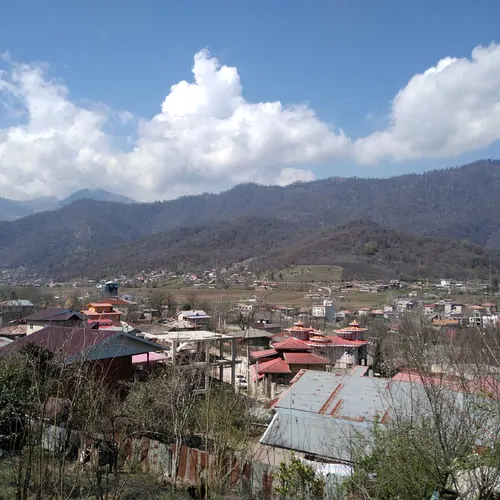 تصویر 18 - کلبه چوبی سعدی در  ماسال