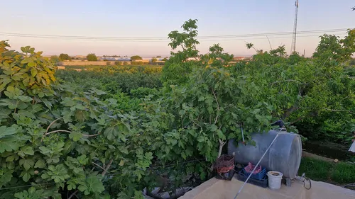 تصویر 8 - سوییت ویلایی سرهنگ در  ورامین