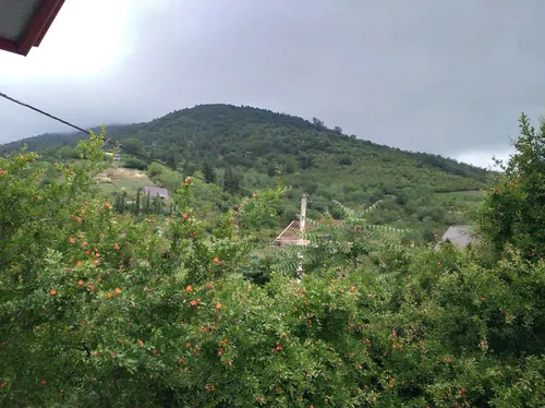 تصویر 18 - ویلا پناه در شاندرمن