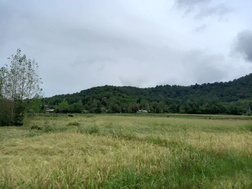 تصویر 17 - ویلا آرشاویر  در  ماسال