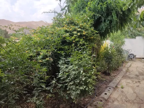 تصویر 3 - روستایی و عشایری گل باغ در کردان