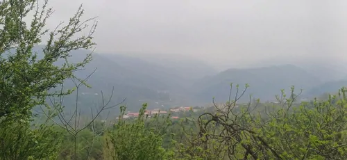 تصویر 11 - سوییت ویلایی جنگلی نارنج  در  بابل
