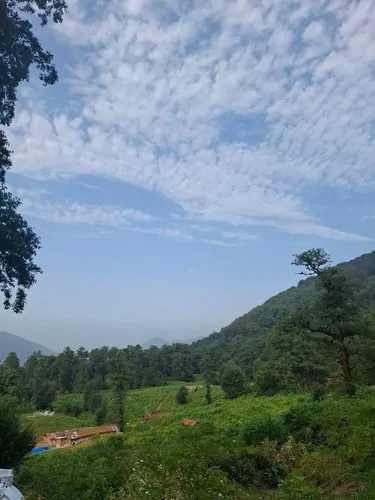 تصویر 18 - کلبه چوبی پدر  در  ماسال