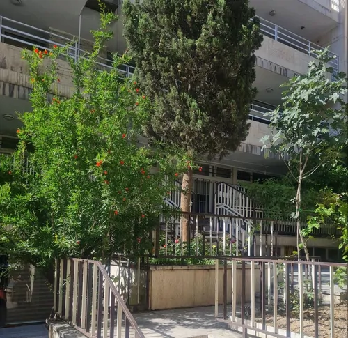 تصویر 3 - پانسیون فرشتگان در تهران