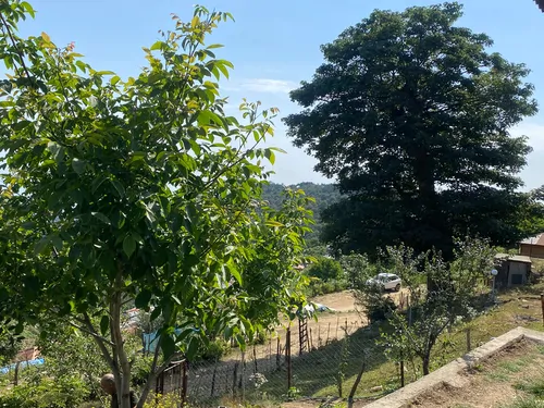 تصویر 5 - ویلا ویلای کوهستانی با ویو عالی در  اسالم