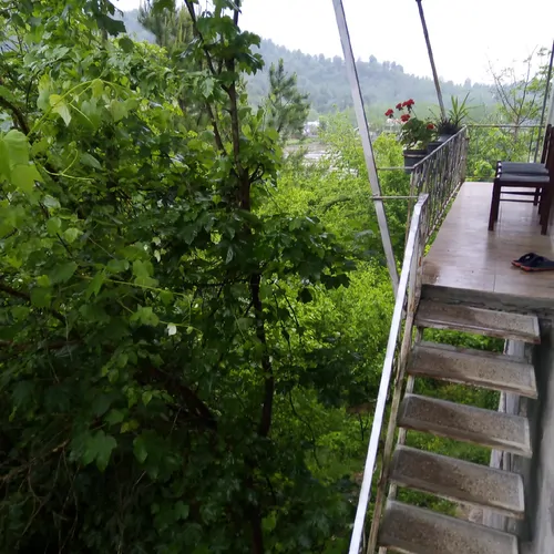 تصویر 9 - ویلا جنگلی اهورا(طبقه دوم)  در  شفت
