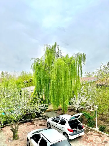 تصویر 26 - ویلا استخردار آبگرم باغ لاوین در  سهیلیه