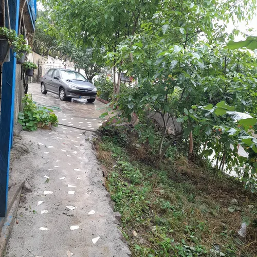 تصویر 5 - ویلا نظری در  رودسر