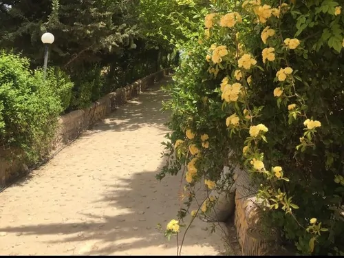 تصویر 9 - ویلا استخردار آبگرم کلبه باغ در  شیراز