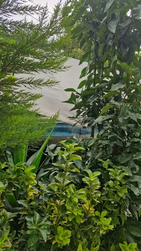 تصویر 59 - ویلا گل مرداب با جکوزی سنگی  در  انزلی