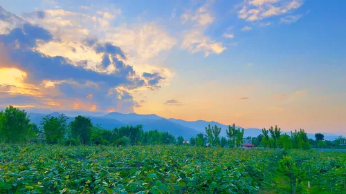 تصویر 15 - کلبه سوئیسی لبخند  در  تالش