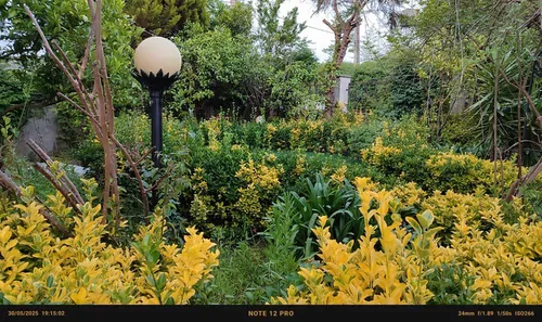 تصویر 2 - ویلا در محله ای بسیار ارام وبا دسترسی اسان به جنگل و دریا در کلارآباد