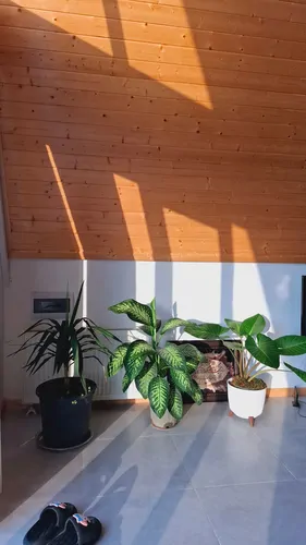 تصویر 20 - کلبه سوئیسی مدرن مدوبن در  نمک آبرود