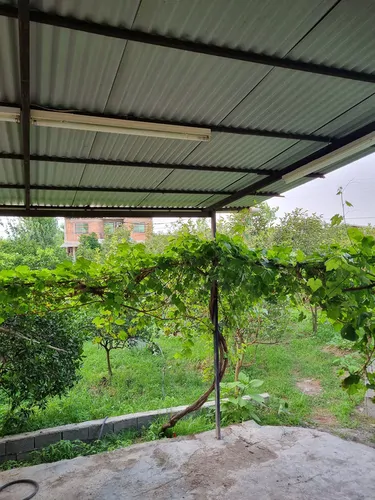 تصویر 2 - ویلا ویلا باغی جکوزی دار در بابل