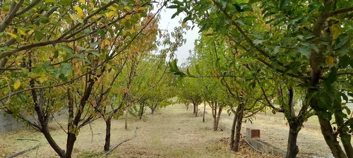 تصویر 23 - ویلا دوبلکس مغدانی در  دورود