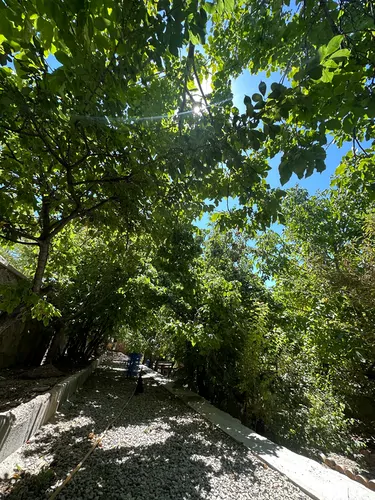 تصویر 13 - ویلا باغ استخردار آبگرم آیینه ورزان در  دماوند