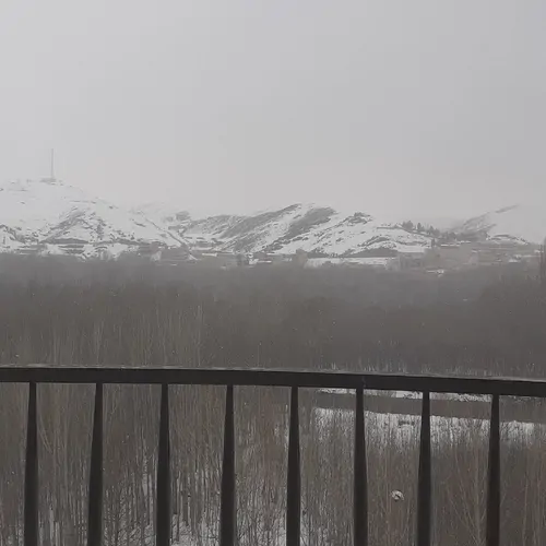 تصویر 3 - ویلا جکوزی دار در باغ بهادران