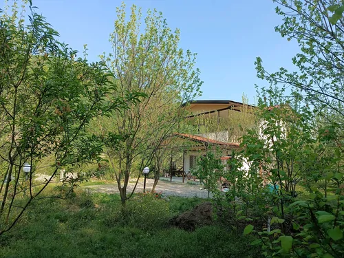 رویای سبز