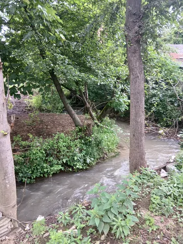 تصویر 11 - ویلا آرشاویر در ماسال