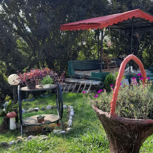 تصویر 5 - کلبه کلبه جنگلی زیبا و دنج در  لنگرود