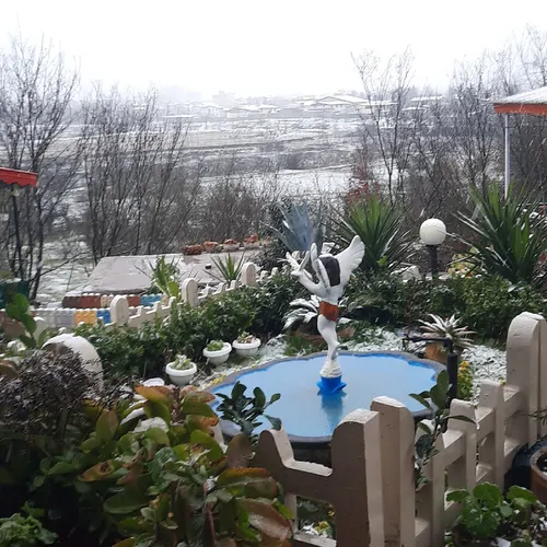 تصویر 2 - کلبه کلبه جنگلی زیبا و دنج در لنگرود