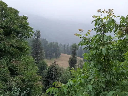 تصویر 27 - ویلا جنگلی آپادانا روستای استخرگاه در  رستم آباد