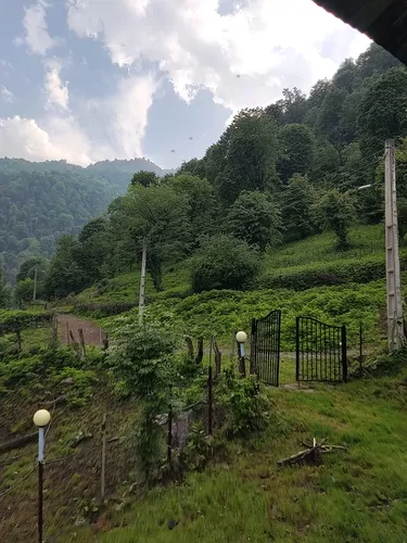 تصویر 19 - ویلا جنگلی کمیل در ماسال