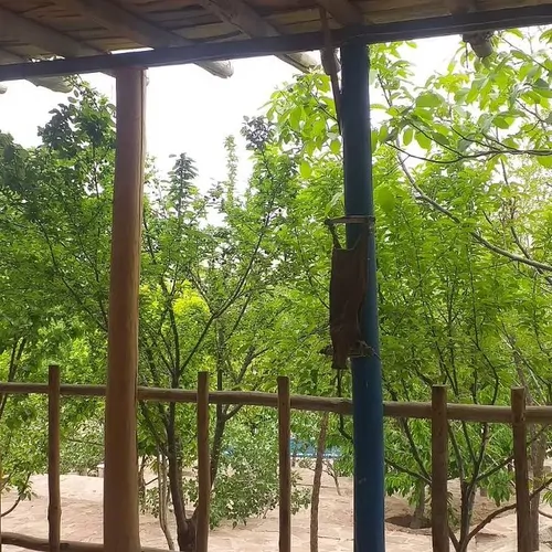 تصویر 2 - اقامتگاه بوم‌گردی شمدونی بجنورد در بجنورد