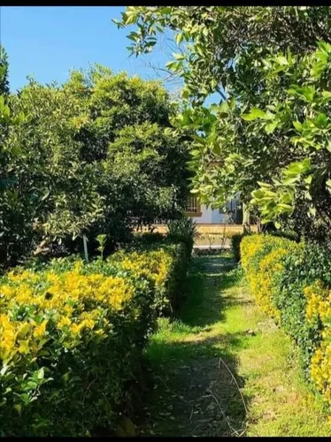 تصویر 20 - ویلا  باغ بهشت در  کلارآباد