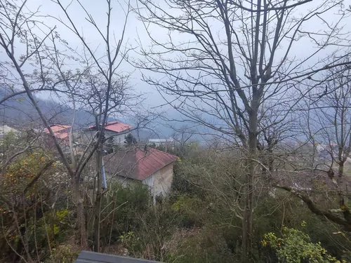 تصویر 19 - ویلا جنگلی نیک با جکوزی در رامسر