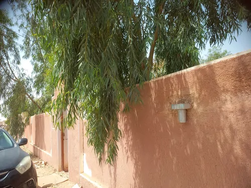 تصویر 5 - ویلا اقامتگاه اکالیپتوس کویری در  کاشان