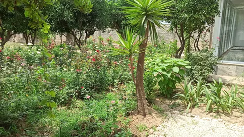 تصویر 4 - ویلا باغ ویلا در بهشهر
