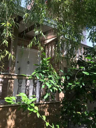 تصویر 16 - خانه سرسبز و زیبا در  محمودآباد