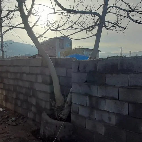 تصویر 4 - ویلا آرام در چالوس